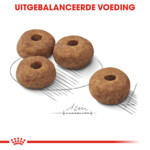 Royal Canin Hondenvoer Droog Sterilised Medium 3 kg