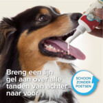 Beaphar Tandgel Hond & Kat - 6.89 euro