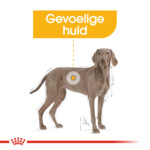 Royal Canin Hondenvoer Droog Dermacomfort Maxi 3 kg