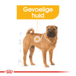 Royal Canin Hondenvoer Droog Dermacomfort Medium 3 kg