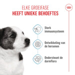 Royal Canin Hondenvoer Droog Mini Puppy 2 kg