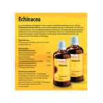 Bloem Echinacea - 22.25 euro