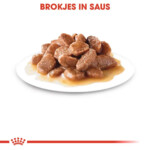 12x Royal Canin Kattenvoer Nat Ageing 12+ Gravy 85 gr