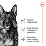 Royal Canin Maxi Ageing 8+ Hondenvoer 15 kg