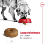 Royal Canin Maxi Ageing 8+ Hondenvoer 15 kg
