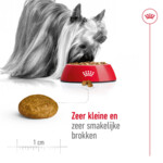 Royal Canin Hondenvoer Droog X-Small Adult 500 gr