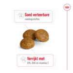 Royal Canin X-Small Adult Hondenvoer 3 kg