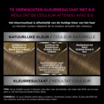 Garnier Olia Permanente Crèmekleuring 6.0 Donkerblond - 7.99 euro