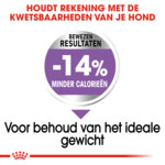 Royal Canin Hondenvoer Droog Sterilised Mini 8 kg