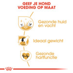 Royal Canin Cocker Adult Hondenvoer 12 kg