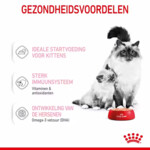 12x Royal Canin Mother & Baby Mousse Kattenvoer Nat 195 gr
