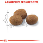 Royal Canin Kattenvoer Droog Sterilised 7+ 10 kg