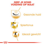Royal Canin Hondenvoer Droog Pug Adult 7,5 kg