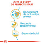 Royal Canin French Bulldog Puppy Hondenvoer 10 kg