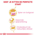 Royal Canin Kattenvoer Droog British Shorthair Kitten 10 kg