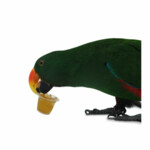 Back Zoo Nature Fruitkuipje Honing - 2.1 euro
