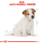 Royal Canin Hondenvoer Droog Jack Russell Puppy 3 kg