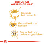 Royal Canin Kattenvoer Droog Ragdoll Adult 10 kg
