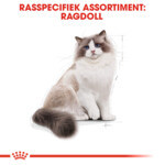 Royal Canin Kattenvoer Droog Ragdoll Adult 400 gr