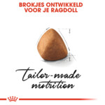 Royal Canin Kattenvoer Droog Ragdoll Adult 400 gr