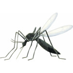 Zensect SOS Insectenbeten Stick - 2.75 euro