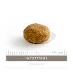 Sanimed Intestinal Hondenvoer 3 kg