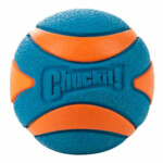 Chuckit Ultra Squeaker Ball Medium ø 6 cm