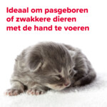 6x Beaphar Voederspuitjes 2 stuks