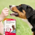 Beaphar All-in-one Ontworming Tabletten Hond 2,5 - 20 kg - 8.35 euro