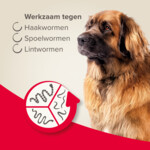 Beaphar All-in-one Ontworming Tabletten Hond 17,5 - 70 kg - 17.79 euro
