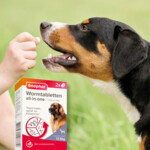 Beaphar All-in-one Ontworming Tabletten Hond 17,5 - 70 kg - 17.79 euro