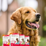 Beaphar All-in-one Ontworming Tabletten Hond 17,5 - 70 kg - 17.79 euro