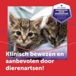 Feliway Friends Starterset Verdamper + Navulling 48 ml