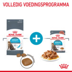 Royal Canin Kattenvoer Droog Urinary Care 2 kg