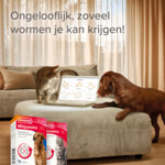 2x Beaphar Milquestra Ontworming Tabletten Kat 0,5 - 4 kg (ook kitten) - 15.56 euro