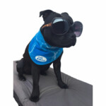 Afp Chill Out Bandana - 8.95 euro