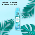 Got2b Droogshampoo Extra Volume - 5.65 euro