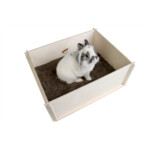 Bunny Nature Diggingbox