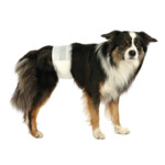 Trixie Hondenluier Reu M - L - 8.26 euro