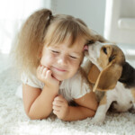 Beaphar Fiprotec Anti Vlooien en Teken Spray Hond en Kat - 19.29 euro