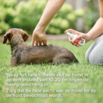 Beaphar Fiprotec Anti Vlooien en Teken Spray Hond en Kat - 19.09 euro