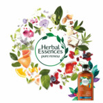 6x Herbal Essences Shampoo Smooth Golden Moringa Oil - 32.26 euro