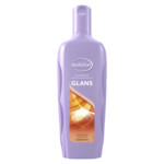 6x Andrelon Shampoo Glans  300 ml