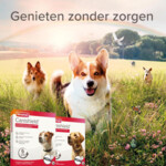 Beaphar Canishield Anti Vlooien en Tekenband Hond S - M - 16.99 euro