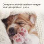 Beaphar Lactol Melk Puppy 500 gr