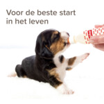 Beaphar Lactol Melk Puppy 500 gr