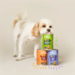 6x Edgard & Cooper Blik Vers Vlees Hondenvoer Lam - Rund 400 gr