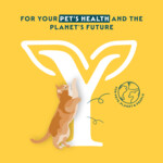 12x Yarrah Bio Kattenvoer Paté Vis 400 gr