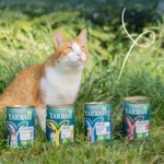 12x Yarrah Bio Kattenvoer Paté Vis 400 gr