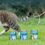 12x Yarrah Bio Kattenvoer Paté Kip 400 gr
